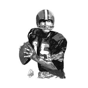 Bart Starr Green Bay Packers Quarterback Football Sports Poster Print Art 11x17